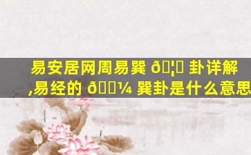 易安居网周易巽 🦆 卦详解,易经的 🌼 巽卦是什么意思